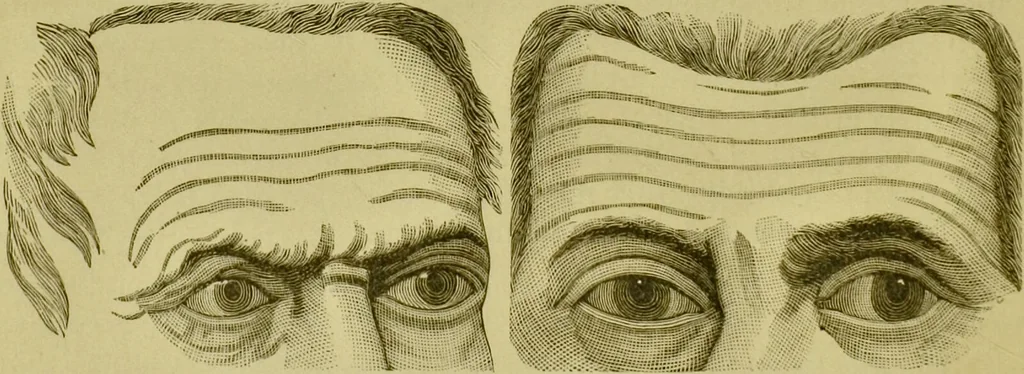 An illustration from A system of practical and scientific physiognomy, or, How to read faces : being a manual of instruction in the knowledge of the human physiognomy and organism, embracing the discoveries of located signs of character in the body and face, as shown by the five natural divisions of the countenance. Volume 2 / by Mary Olmstead Stanton., 1890, leaf 460