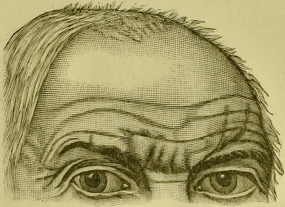 An illustration from A system of practical and scientific physiognomy, or, How to read faces : being a manual of instruction in the knowledge of the human physiognomy and organism, embracing the discoveries of located signs of character in the body and face, as shown by the five natural divisions of the countenance. Volume 2 / by Mary Olmstead Stanton., 1890, leaf 463