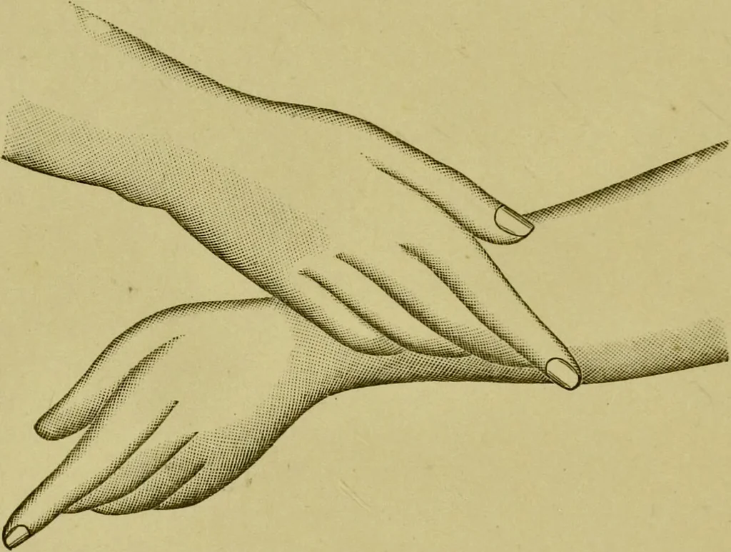 An illustration from A system of practical and scientific physiognomy, or, How to read faces : being a manual of instruction in the knowledge of the human physiognomy and organism, embracing the discoveries of located signs of character in the body and face, as shown by the five natural divisions of the countenance. Volume 2 / by Mary Olmstead Stanton., 1890, leaf 502