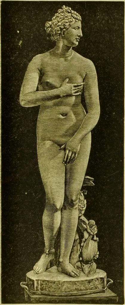 An illustration from A system of practical and scientific physiognomy, or, How to read faces : being a manual of instruction in the knowledge of the human physiognomy and organism, embracing the discoveries of located signs of character in the body and face, as shown by the five natural divisions of the countenance. Volume 2 / by Mary Olmstead Stanton., 1890, leaf 513