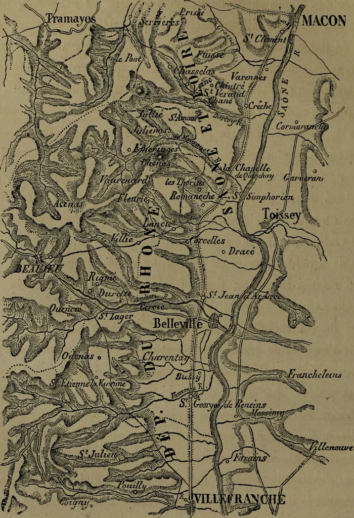 An illustration from Histoire des insectes nuisibles à la vigne : et particulièrement de la pyrale qui dévaste les vignobles des départments de la Cote-d'Or ... [etc.]; avec l'indication des moyens qu'on doit employer pour la combattre / par Victor Audouin., 1842, leaf 162