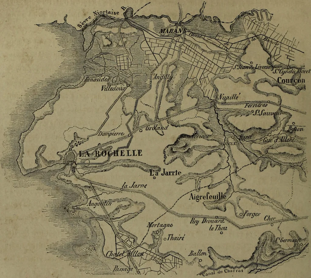 An illustration from Histoire des insectes nuisibles à la vigne : et particulièrement de la pyrale qui dévaste les vignobles des départments de la Cote-d'Or ... [etc.]; avec l'indication des moyens qu'on doit employer pour la combattre / par Victor Audouin., 1842, leaf 168