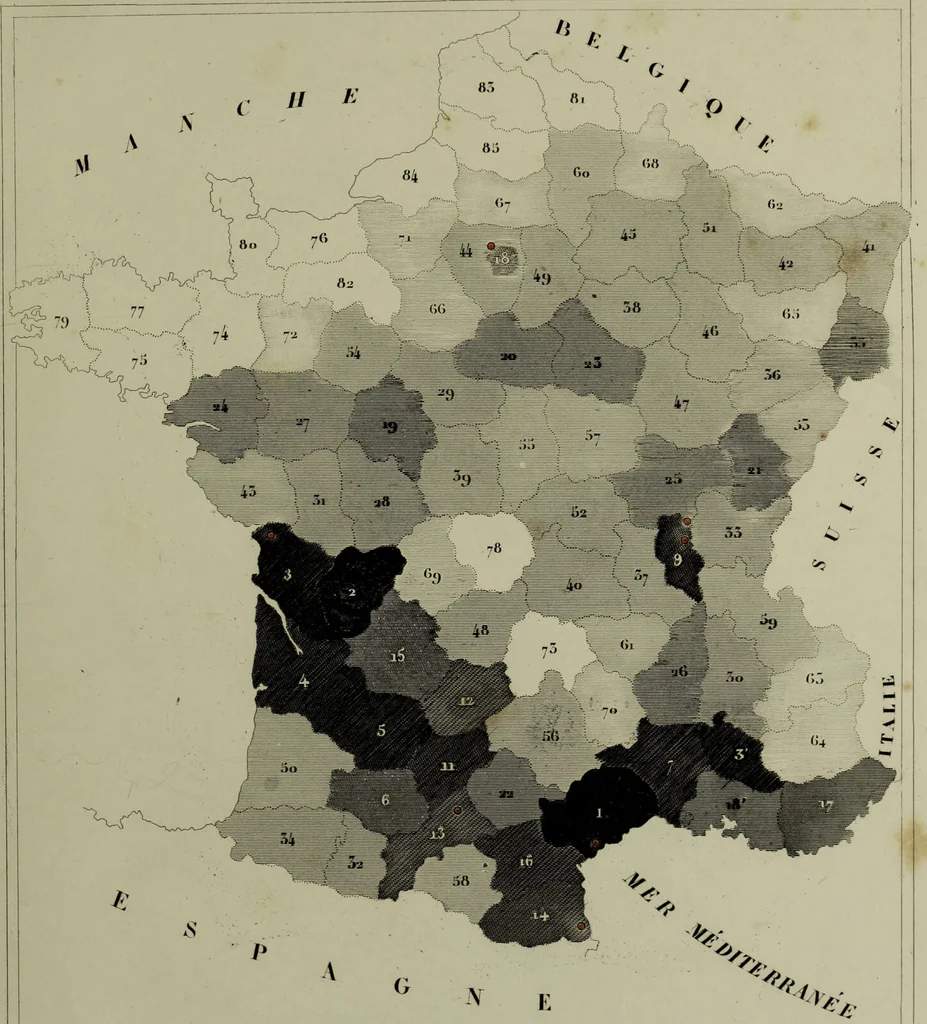 An illustration from Histoire des insectes nuisibles à la vigne : et particulièrement de la pyrale qui dévaste les vignobles des départments de la Cote-d'Or ... [etc.]; avec l'indication des moyens qu'on doit employer pour la combattre / par Victor Audouin., 1842, leaf 471