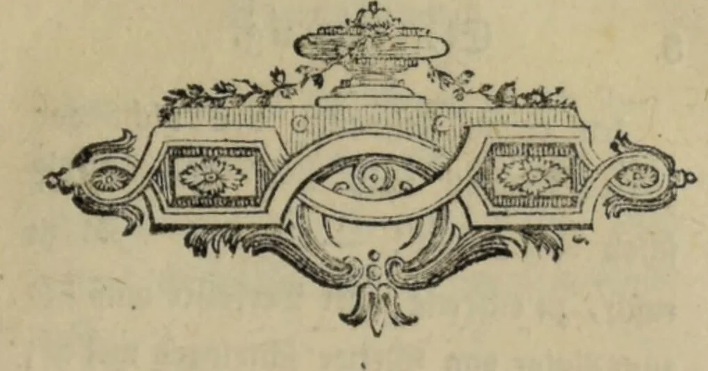 An illustration from Ueber thierischen Magnetismus. In einem Brief an Herrn Geheimen Rath Hoffmann in Mainz / Von Eberhard Gmelin., 1787, leaf 155