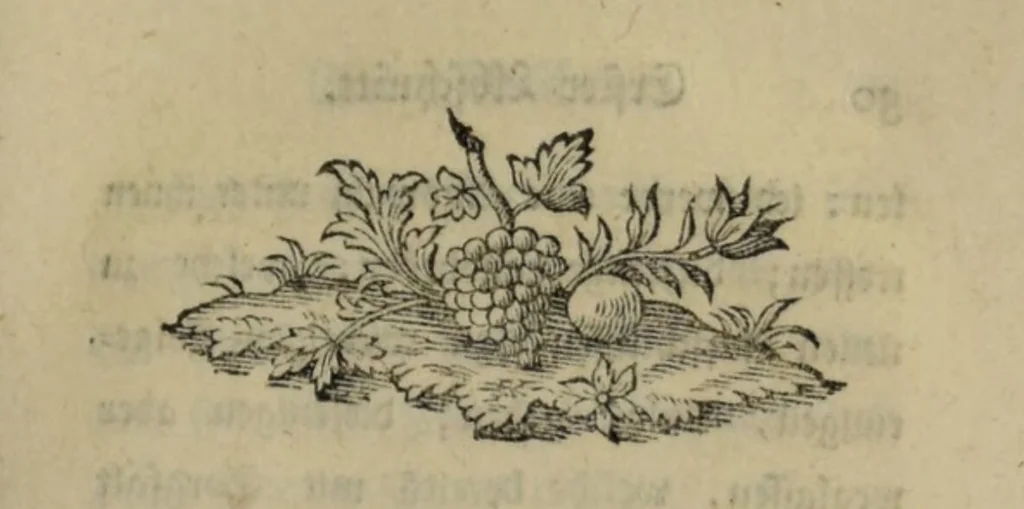 An illustration from Ueber thierischen Magnetismus. In einem Brief an Herrn Geheimen Rath Hoffmann in Mainz / Von Eberhard Gmelin., 1787, leaf 177