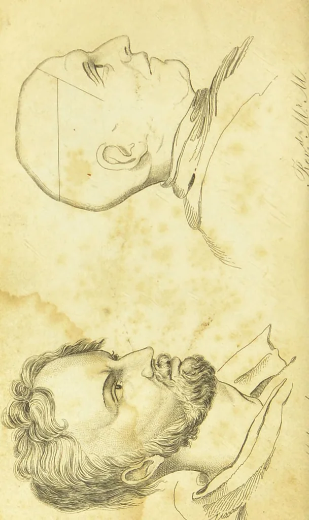An illustration from Phrenology simplified; being an exposition of the principles and applications of phrenology to the practical uses of life : Intended as a sequel to the "Catechism of phrenology" / by a member of the Phrenological Society of Edinburgh., 1836, leaf 4