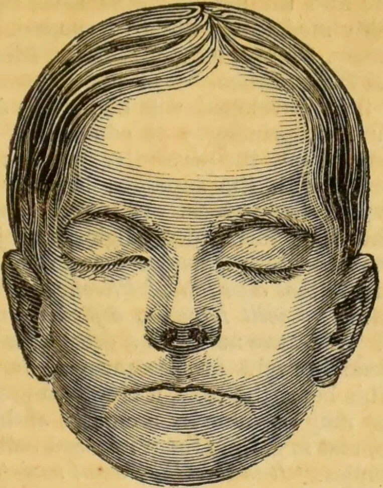 An illustration from Manual of phrenology : as an accompaniment to the phrenological bust., 1828, leaf 127