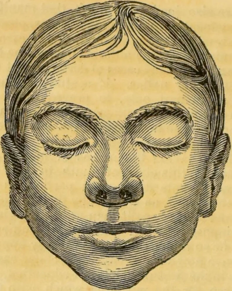 An illustration from Manual of phrenology : as an accompaniment to the phrenological bust., 1828, leaf 130