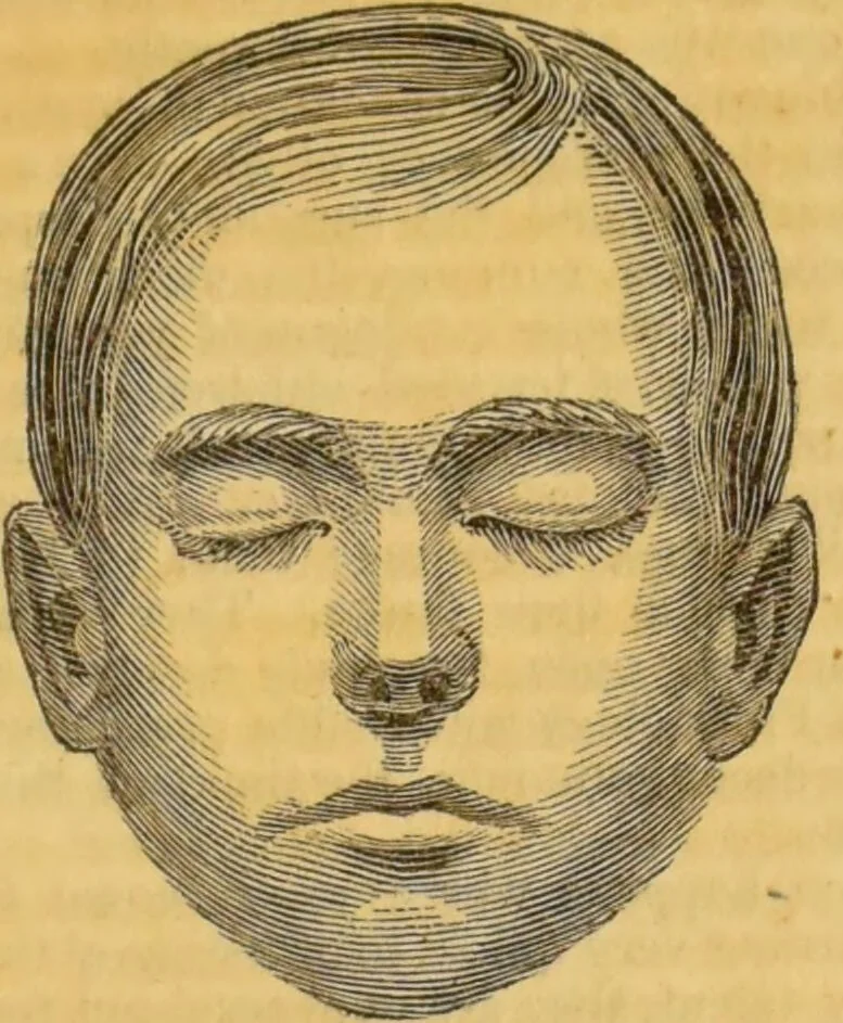 An illustration from Manual of phrenology : as an accompaniment to the phrenological bust., 1828, leaf 133