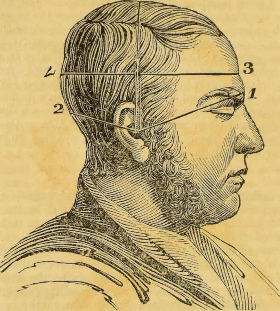 An illustration from Manual of phrenology : as an accompaniment to the phrenological bust., 1828, leaf 34