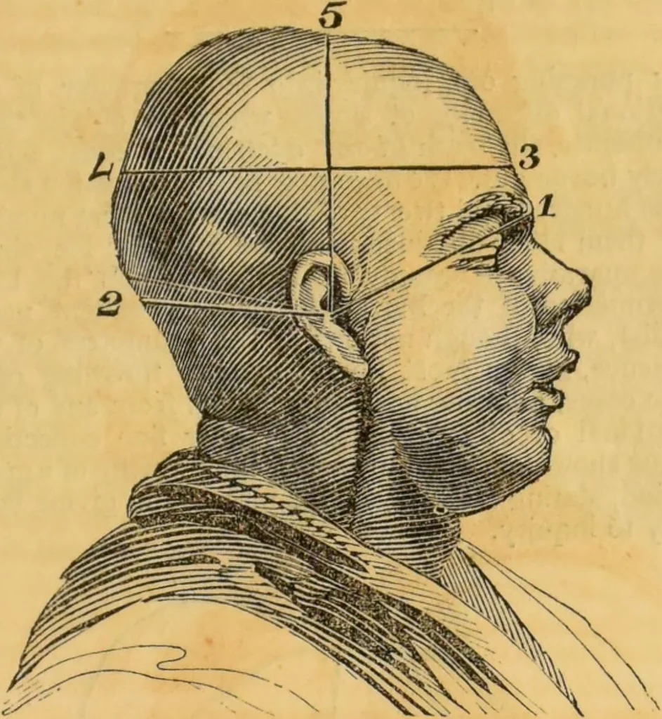 An illustration from Manual of phrenology : as an accompaniment to the phrenological bust., 1828, leaf 35