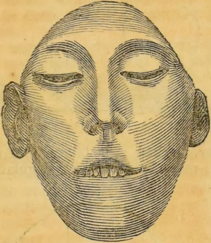 An illustration from Manual of phrenology : as an accompaniment to the phrenological bust., 1828, leaf 41