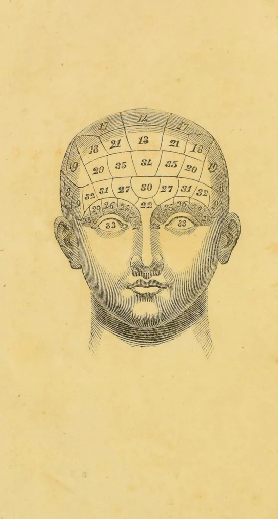 An illustration from Manual of phrenology : as an accompaniment to the phrenological bust., 1828, leaf 8