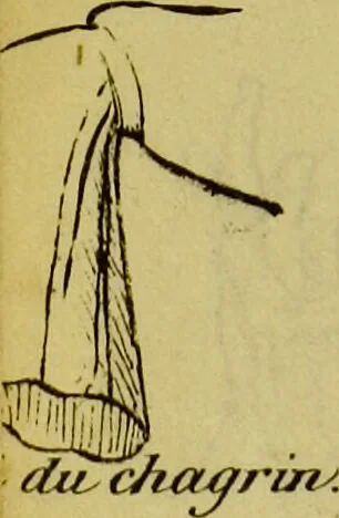 An illustration from La physiologie des gens du monde : pour servir de complément à l'éducation, ornée des planches / par le Ch[...]er Chaponnier., 1829, leaf 400