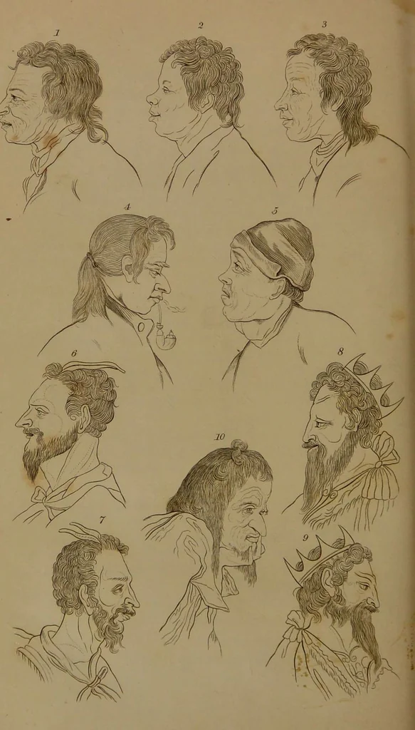 An illustration from Essays on physiognomy : designed to promote the knowledge and the love of mankind / written in the German language by John Caspar Lavater ; and translated into English by Thomas Holcroft ; to which are added one hundred physiognomonical rules, a posthumous work by Mr. Lavater and Memoirs of the life of the author compiled principally from The Life of Lavater, by G. Gessner., 1850, leaf 174
