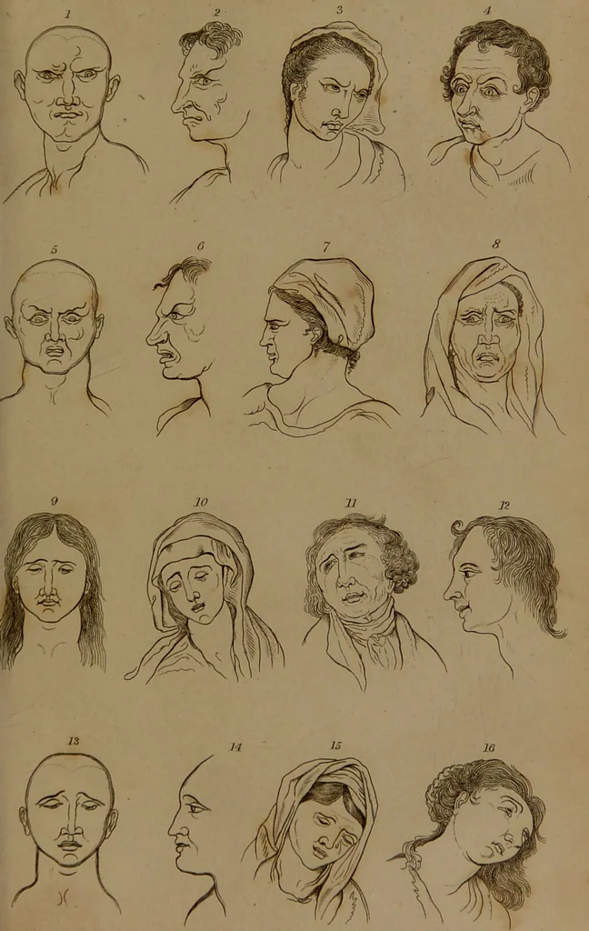 An illustration from Essays on physiognomy : designed to promote the knowledge and the love of mankind / written in the German language by John Caspar Lavater ; and translated into English by Thomas Holcroft ; to which are added one hundred physiognomonical rules, a posthumous work by Mr. Lavater and Memoirs of the life of the author compiled principally from The Life of Lavater, by G. Gessner., 1850, leaf 177