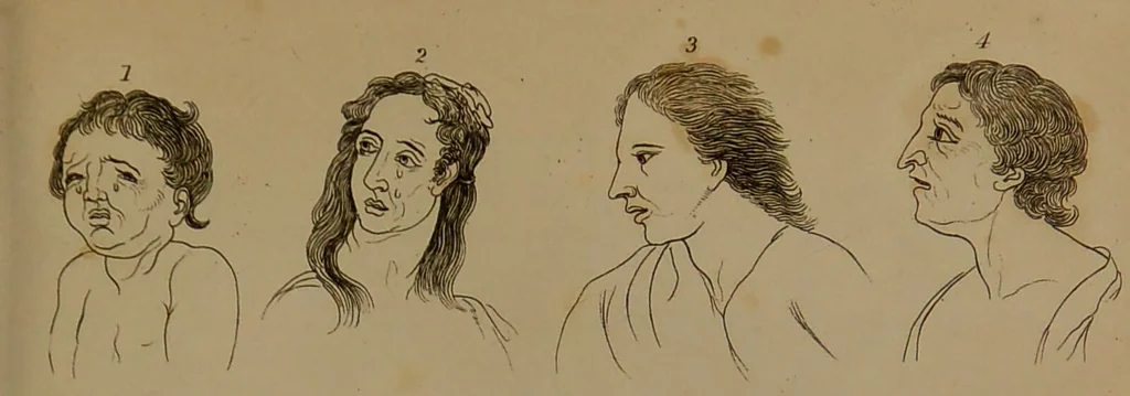 An illustration from Essays on physiognomy : designed to promote the knowledge and the love of mankind / written in the German language by John Caspar Lavater ; and translated into English by Thomas Holcroft ; to which are added one hundred physiognomonical rules, a posthumous work by Mr. Lavater and Memoirs of the life of the author compiled principally from The Life of Lavater, by G. Gessner., 1850, leaf 179