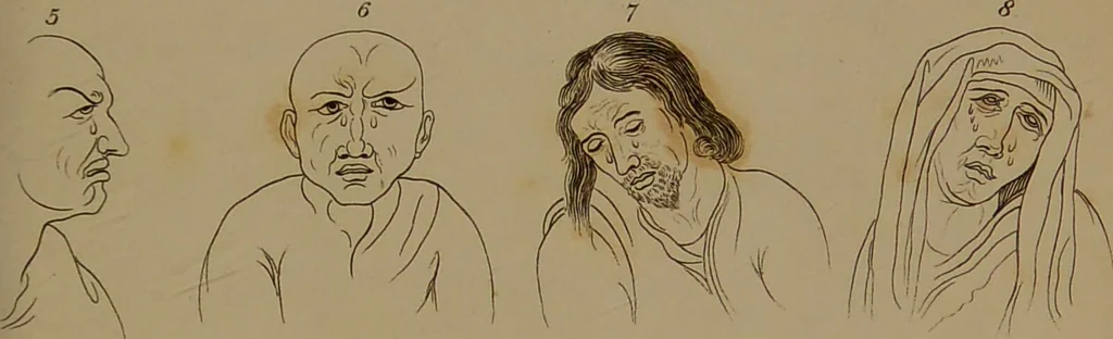 An illustration from Essays on physiognomy : designed to promote the knowledge and the love of mankind / written in the German language by John Caspar Lavater ; and translated into English by Thomas Holcroft ; to which are added one hundred physiognomonical rules, a posthumous work by Mr. Lavater and Memoirs of the life of the author compiled principally from The Life of Lavater, by G. Gessner., 1850, leaf 179