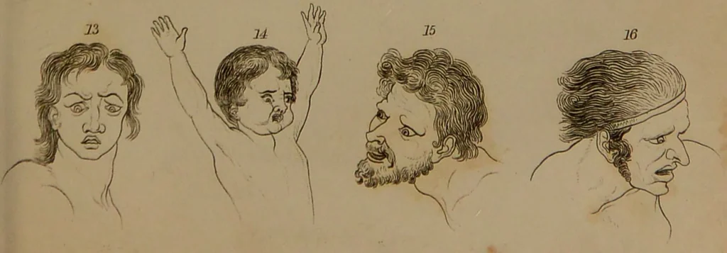 An illustration from Essays on physiognomy : designed to promote the knowledge and the love of mankind / written in the German language by John Caspar Lavater ; and translated into English by Thomas Holcroft ; to which are added one hundred physiognomonical rules, a posthumous work by Mr. Lavater and Memoirs of the life of the author compiled principally from The Life of Lavater, by G. Gessner., 1850, leaf 179