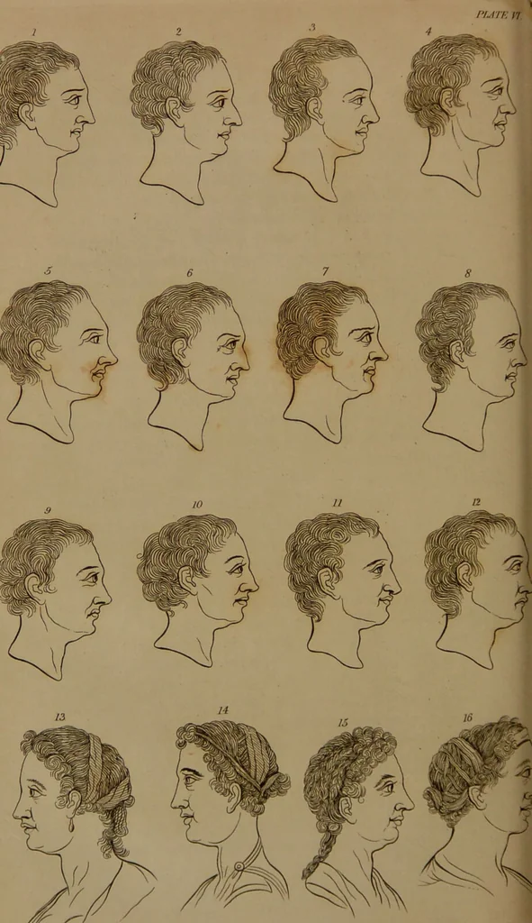 An illustration from Essays on physiognomy : designed to promote the knowledge and the love of mankind / written in the German language by John Caspar Lavater ; and translated into English by Thomas Holcroft ; to which are added one hundred physiognomonical rules, a posthumous work by Mr. Lavater and Memoirs of the life of the author compiled principally from The Life of Lavater, by G. Gessner., 1850, leaf 208