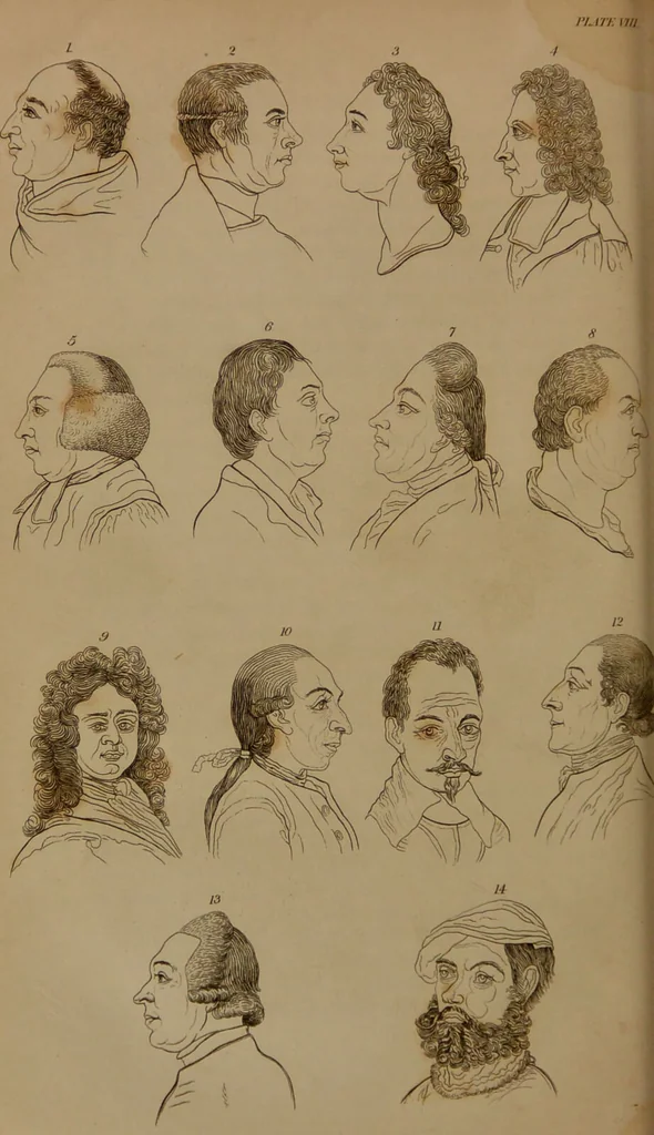 An illustration from Essays on physiognomy : designed to promote the knowledge and the love of mankind / written in the German language by John Caspar Lavater ; and translated into English by Thomas Holcroft ; to which are added one hundred physiognomonical rules, a posthumous work by Mr. Lavater and Memoirs of the life of the author compiled principally from The Life of Lavater, by G. Gessner., 1850, leaf 244