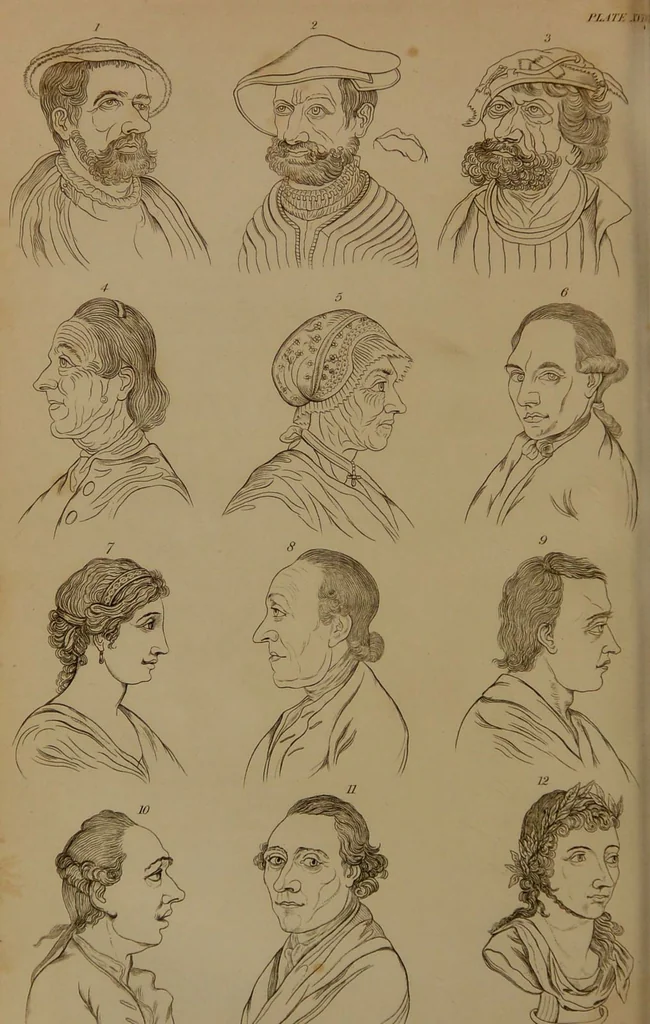 An illustration from Essays on physiognomy : designed to promote the knowledge and the love of mankind / written in the German language by John Caspar Lavater ; and translated into English by Thomas Holcroft ; to which are added one hundred physiognomonical rules, a posthumous work by Mr. Lavater and Memoirs of the life of the author compiled principally from The Life of Lavater, by G. Gessner., 1850, leaf 294