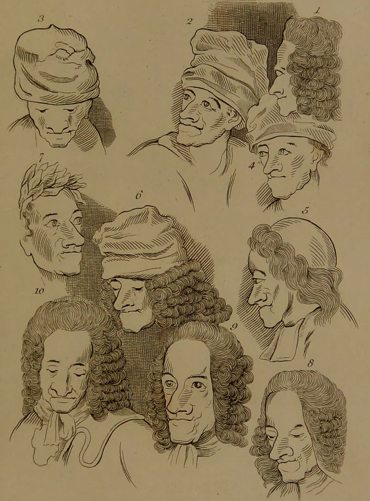 An illustration from Essays on physiognomy : designed to promote the knowledge and the love of mankind / written in the German language by John Caspar Lavater ; and translated into English by Thomas Holcroft ; to which are added one hundred physiognomonical rules, a posthumous work by Mr. Lavater and Memoirs of the life of the author compiled principally from The Life of Lavater, by G. Gessner., 1850, leaf 297