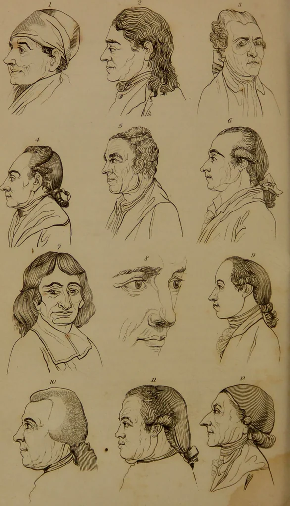 An illustration from Essays on physiognomy : designed to promote the knowledge and the love of mankind / written in the German language by John Caspar Lavater ; and translated into English by Thomas Holcroft ; to which are added one hundred physiognomonical rules, a posthumous work by Mr. Lavater and Memoirs of the life of the author compiled principally from The Life of Lavater, by G. Gessner., 1850, leaf 306
