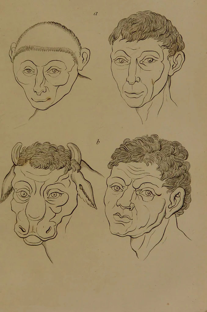 An illustration from Essays on physiognomy : designed to promote the knowledge and the love of mankind / written in the German language by John Caspar Lavater ; and translated into English by Thomas Holcroft ; to which are added one hundred physiognomonical rules, a posthumous work by Mr. Lavater and Memoirs of the life of the author compiled principally from The Life of Lavater, by G. Gessner., 1850, leaf 401