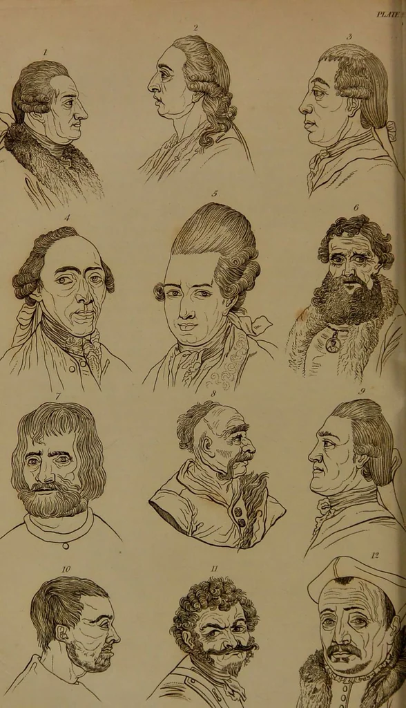 An illustration from Essays on physiognomy : designed to promote the knowledge and the love of mankind / written in the German language by John Caspar Lavater ; and translated into English by Thomas Holcroft ; to which are added one hundred physiognomonical rules, a posthumous work by Mr. Lavater and Memoirs of the life of the author compiled principally from The Life of Lavater, by G. Gessner., 1850, leaf 666