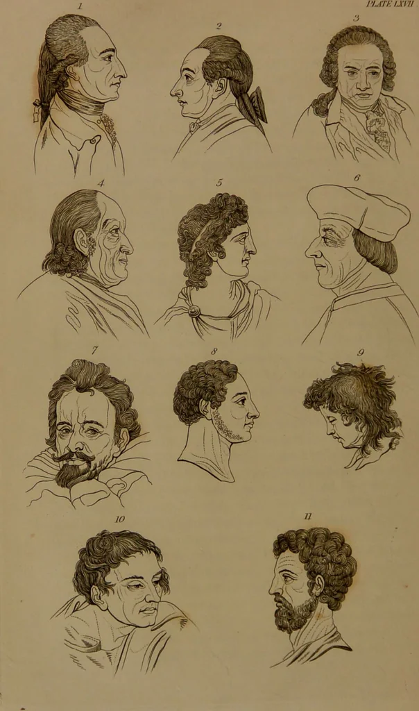 An illustration from Essays on physiognomy : designed to promote the knowledge and the love of mankind / written in the German language by John Caspar Lavater ; and translated into English by Thomas Holcroft ; to which are added one hundred physiognomonical rules, a posthumous work by Mr. Lavater and Memoirs of the life of the author compiled principally from The Life of Lavater, by G. Gessner., 1850, leaf 712
