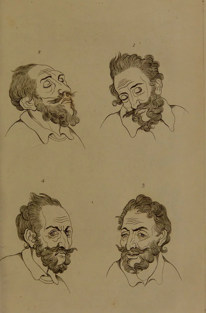 An illustration from Essays on physiognomy : designed to promote the knowledge and the love of mankind / written in the German language by John Caspar Lavater ; and translated into English by Thomas Holcroft ; to which are added one hundred physiognomonical rules, a posthumous work by Mr. Lavater and Memoirs of the life of the author compiled principally from The Life of Lavater, by G. Gessner., 1850, leaf 745