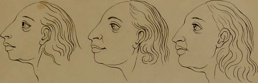 An illustration from Essays on physiognomy : designed to promote the knowledge and the love of mankind / written in the German language by John Caspar Lavater ; and translated into English by Thomas Holcroft ; to which are added one hundred physiognomonical rules, a posthumous work by Mr. Lavater and Memoirs of the life of the author compiled principally from The Life of Lavater, by G. Gessner., 1850, leaf 787