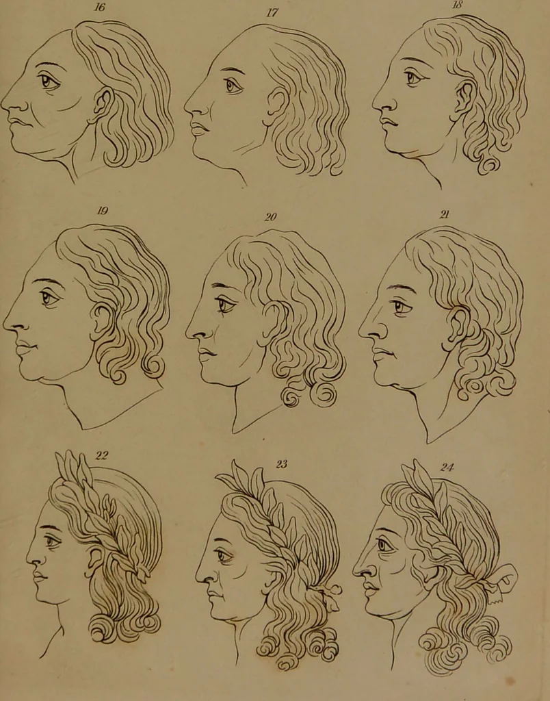 An illustration from Essays on physiognomy : designed to promote the knowledge and the love of mankind / written in the German language by John Caspar Lavater ; and translated into English by Thomas Holcroft ; to which are added one hundred physiognomonical rules, a posthumous work by Mr. Lavater and Memoirs of the life of the author compiled principally from The Life of Lavater, by G. Gessner., 1850, leaf 787