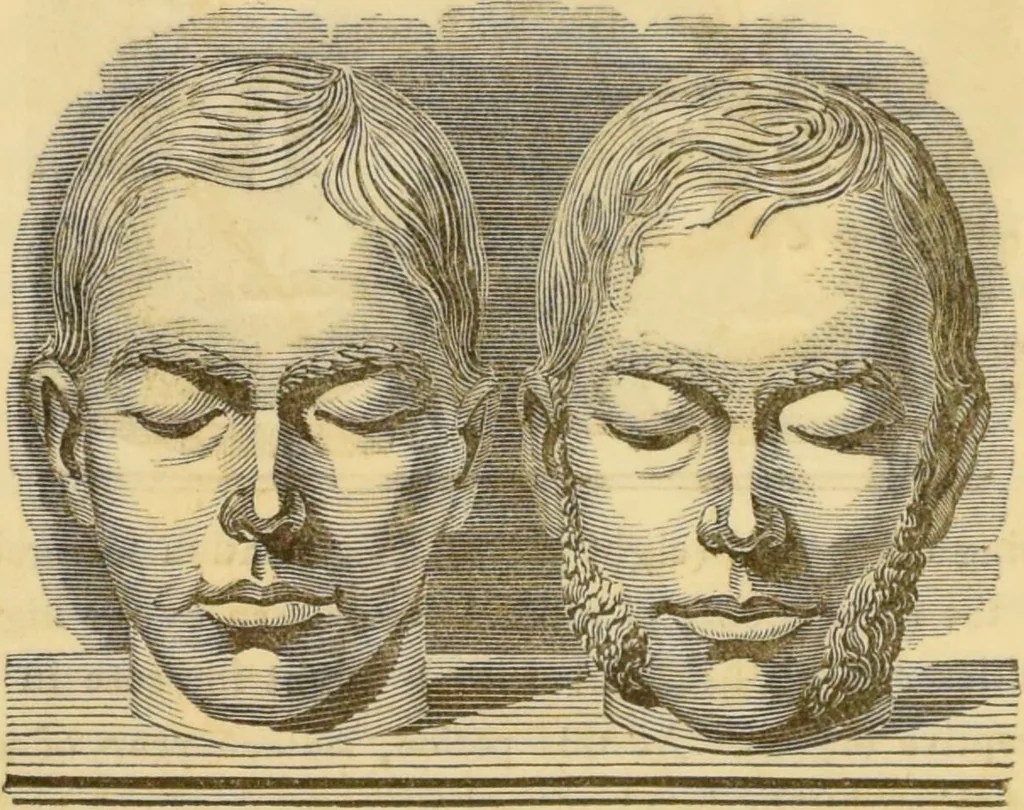 An illustration from Manual of phrenology : as an accompaniment to the phrenological bust / [James De Ville]., 1835, leaf 112