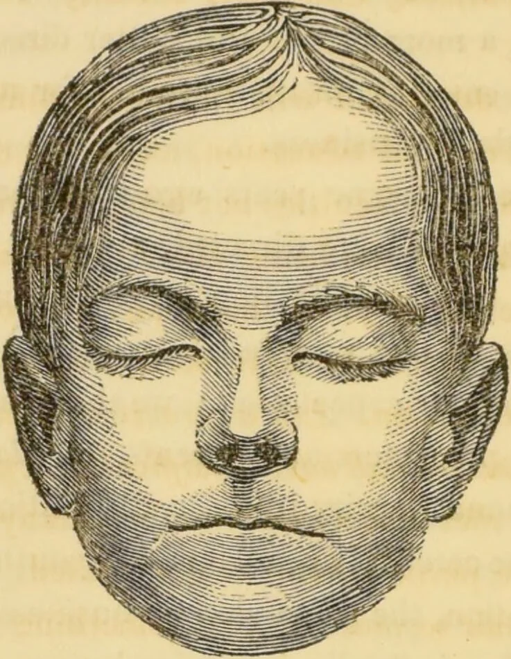 An illustration from Manual of phrenology : as an accompaniment to the phrenological bust / [James De Ville]., 1835, leaf 162