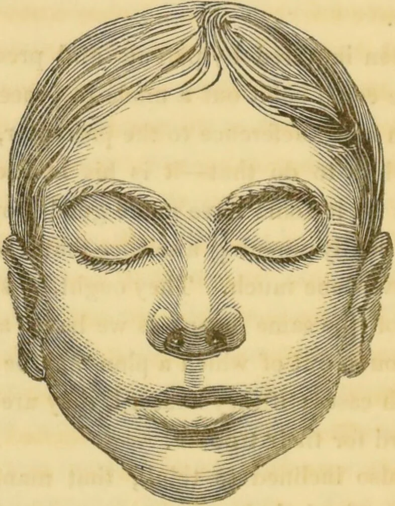 An illustration from Manual of phrenology : as an accompaniment to the phrenological bust / [James De Ville]., 1835, leaf 164