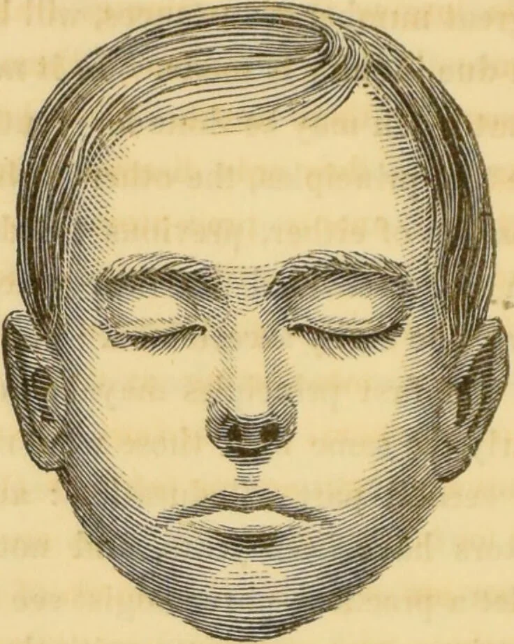 An illustration from Manual of phrenology : as an accompaniment to the phrenological bust / [James De Ville]., 1835, leaf 168