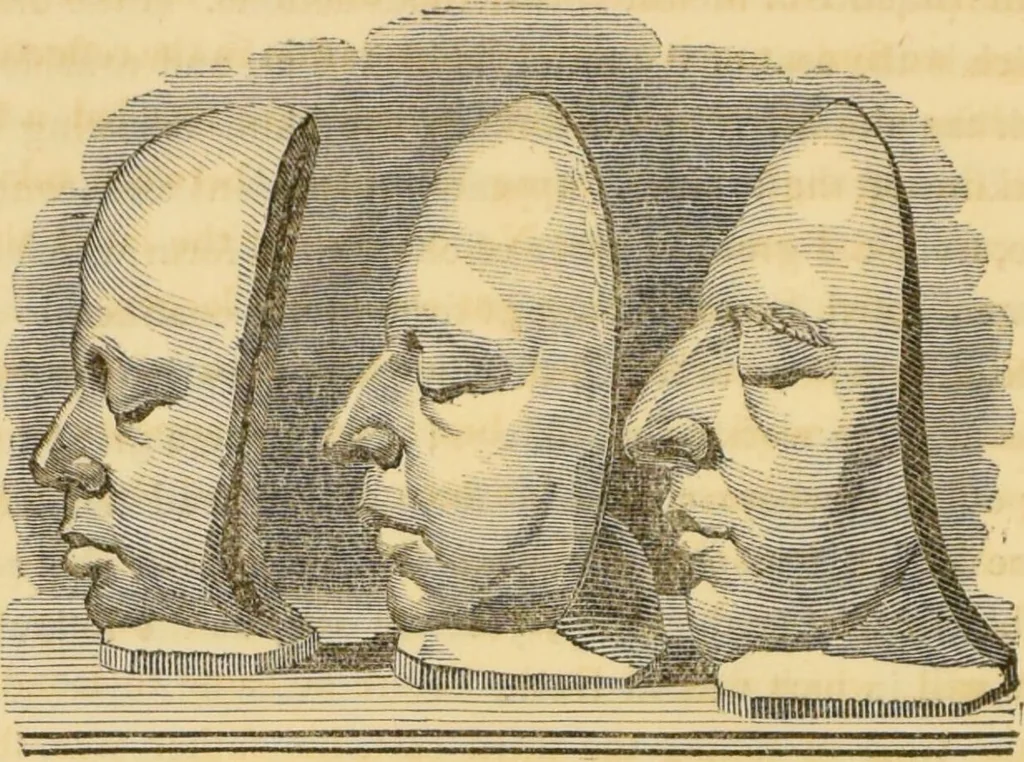 An illustration from Manual of phrenology : as an accompaniment to the phrenological bust / [James De Ville]., 1835, leaf 26