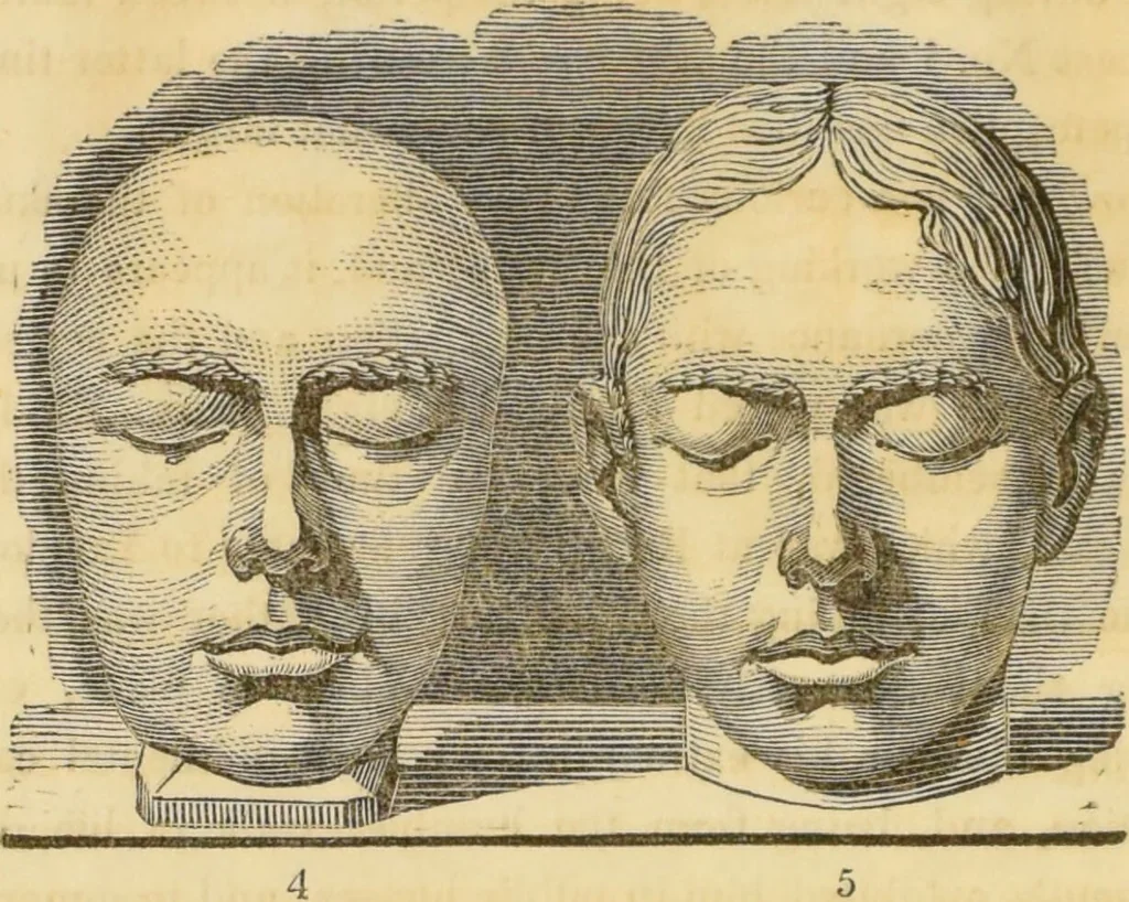 An illustration from Manual of phrenology : as an accompaniment to the phrenological bust / [James De Ville]., 1835, leaf 28