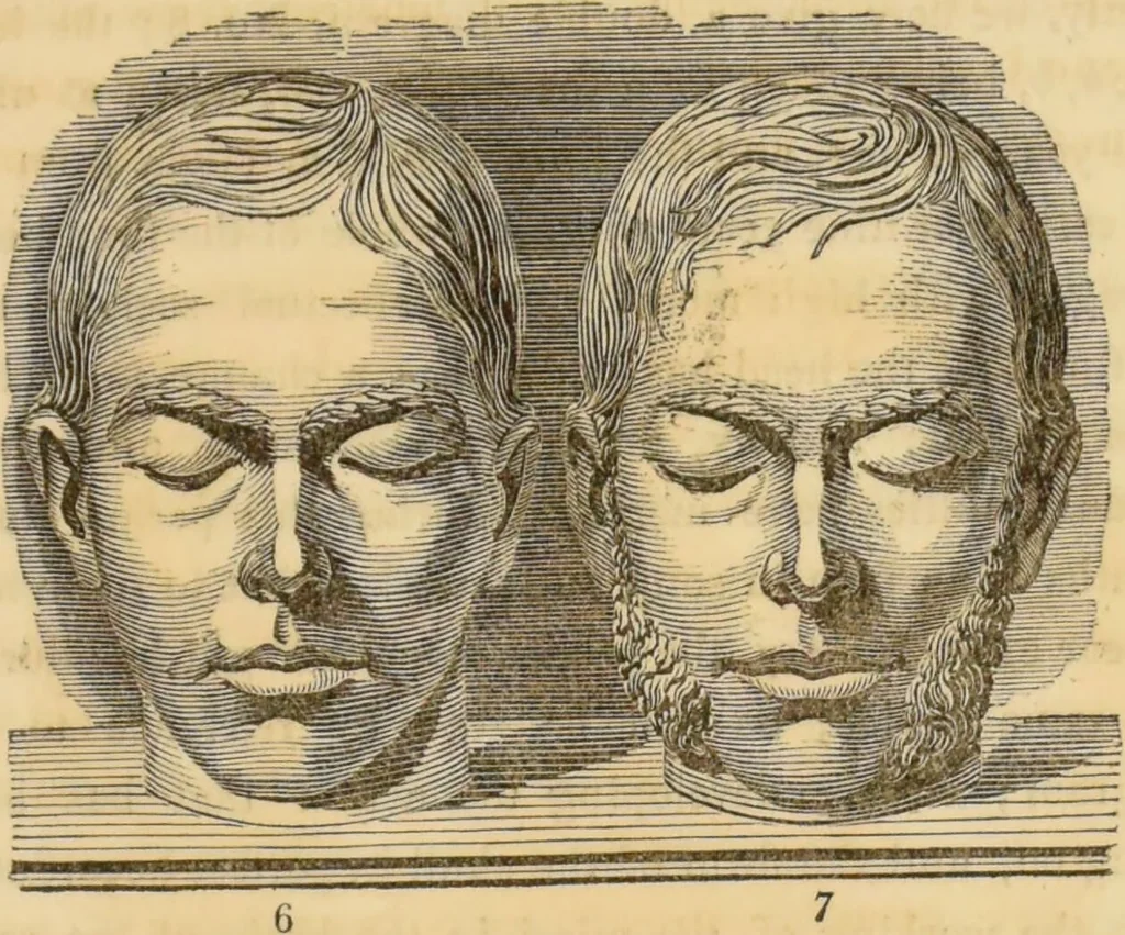 An illustration from Manual of phrenology : as an accompaniment to the phrenological bust / [James De Ville]., 1835, leaf 29