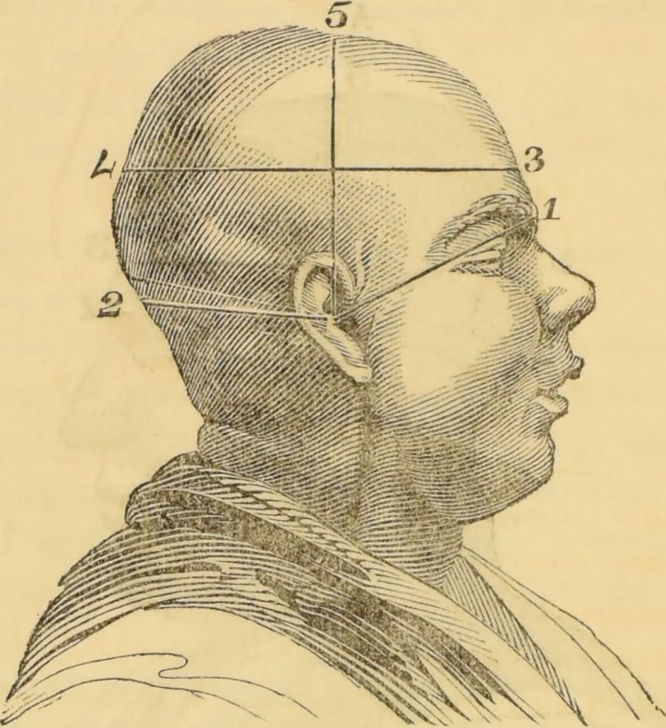 An illustration from Manual of phrenology : as an accompaniment to the phrenological bust / [James De Ville]., 1835, leaf 40