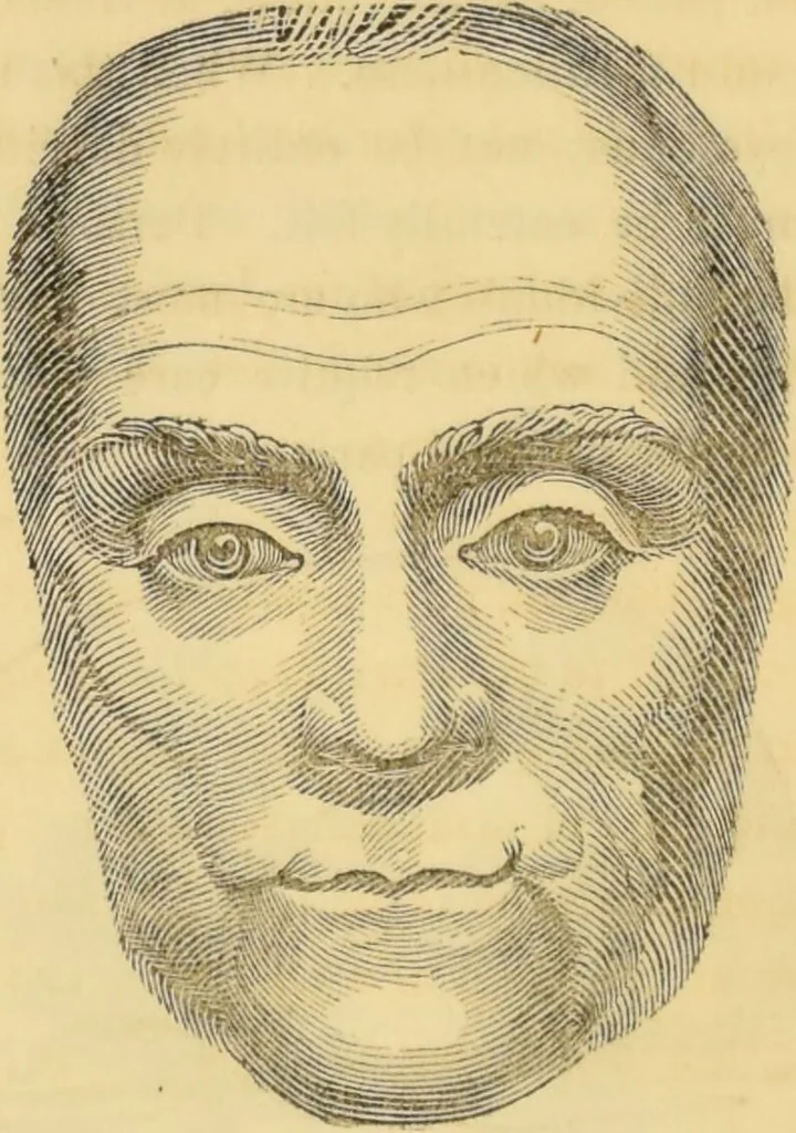 An illustration from Manual of phrenology : as an accompaniment to the phrenological bust / [James De Ville]., 1835, leaf 44