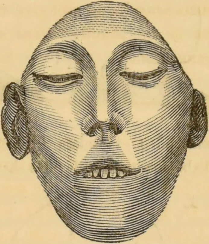An illustration from Manual of phrenology : as an accompaniment to the phrenological bust / [James De Ville]., 1835, leaf 45