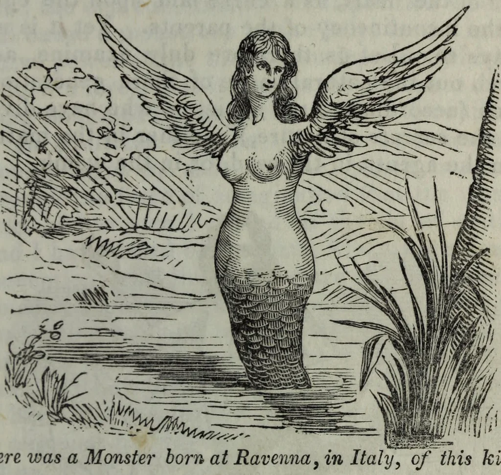 An illustration from The midwife's guide : being the complete works of Aristotle : beautifully illustrated. To which is added an appendix, explanatory of the illustrations, never before published., 1845, leaf 37
