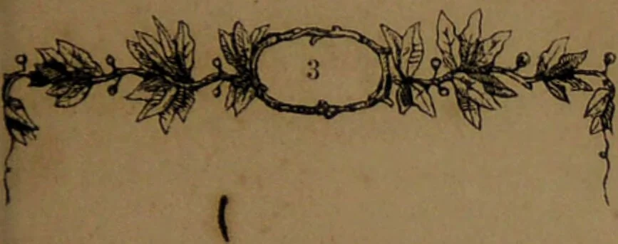 An illustration from L'art de connaître l'avenir par la chiromancie, les horoscopes, les divinations anciennes, le marc de café, etc. / Par Johannès Trismégiste [i.e. Lorambert]. Orné de 101 figures., 1843, leaf 113