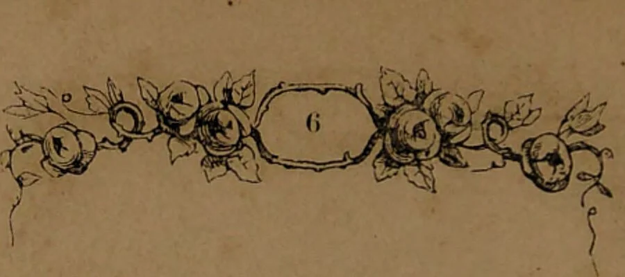 An illustration from L'art de connaître l'avenir par la chiromancie, les horoscopes, les divinations anciennes, le marc de café, etc. / Par Johannès Trismégiste [i.e. Lorambert]. Orné de 101 figures., 1843, leaf 14