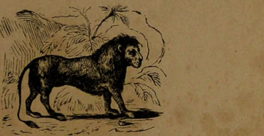 An illustration from L'art de connaître l'avenir par la chiromancie, les horoscopes, les divinations anciennes, le marc de café, etc. / Par Johannès Trismégiste [i.e. Lorambert]. Orné de 101 figures., 1843, leaf 75