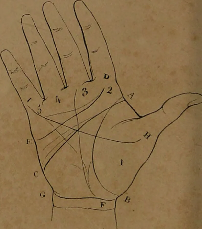 An illustration from L'art de connaître l'avenir par la chiromancie, les horoscopes, les divinations anciennes, le marc de café, etc. / Par Johannès Trismégiste [i.e. Lorambert]. Orné de 101 figures., 1843, leaf 80