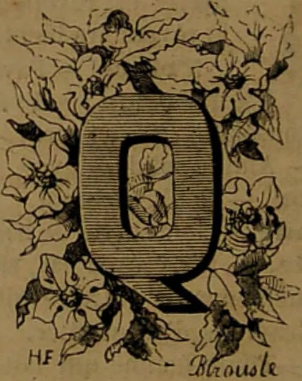 An illustration from L'art d'expliquer les songes, ou, Signification détaillé de tous les songes, visions, rêves, apparitions : précédé de l'histoire des rêves célèbres dont le sens s'est réalisé / Par Johannès Trismégiste [i.e. Lorambert]. Orné des 130 figures., 1845, leaf 110